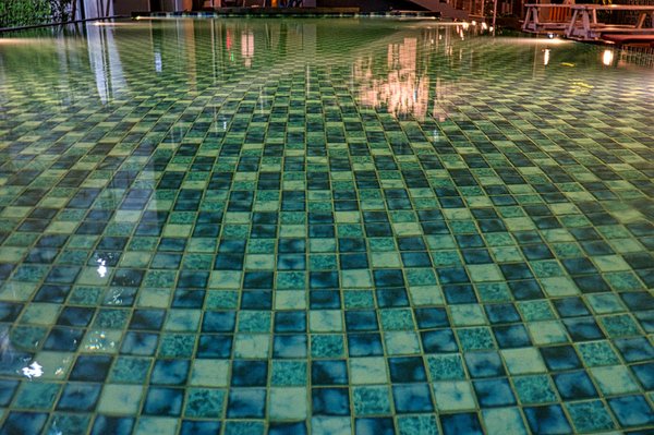 Maîtrisez les dés: guide des règles essentielles