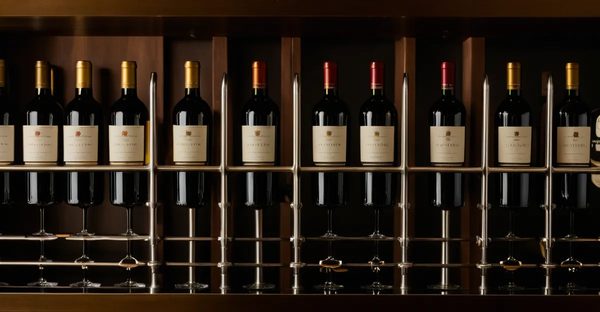 Mini bar : optimisez la conservation de vos grands crus