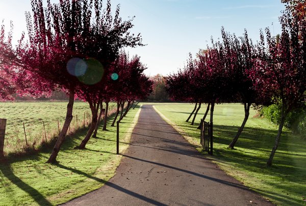 Comment bien décorer son allée d'entrée ?